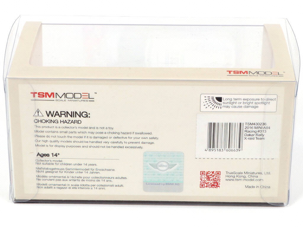 Lot 117 - TSM MODELS (CHINE) (2)