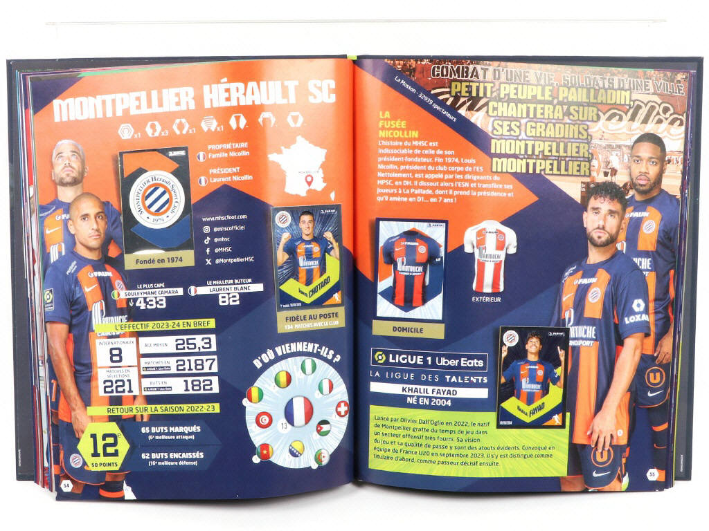 Lot 50 - PANINI (ITALIE) (1)