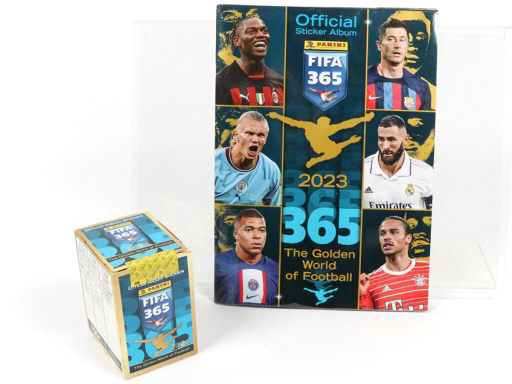 Lot 113 - PANINI (ITALIE) (2)