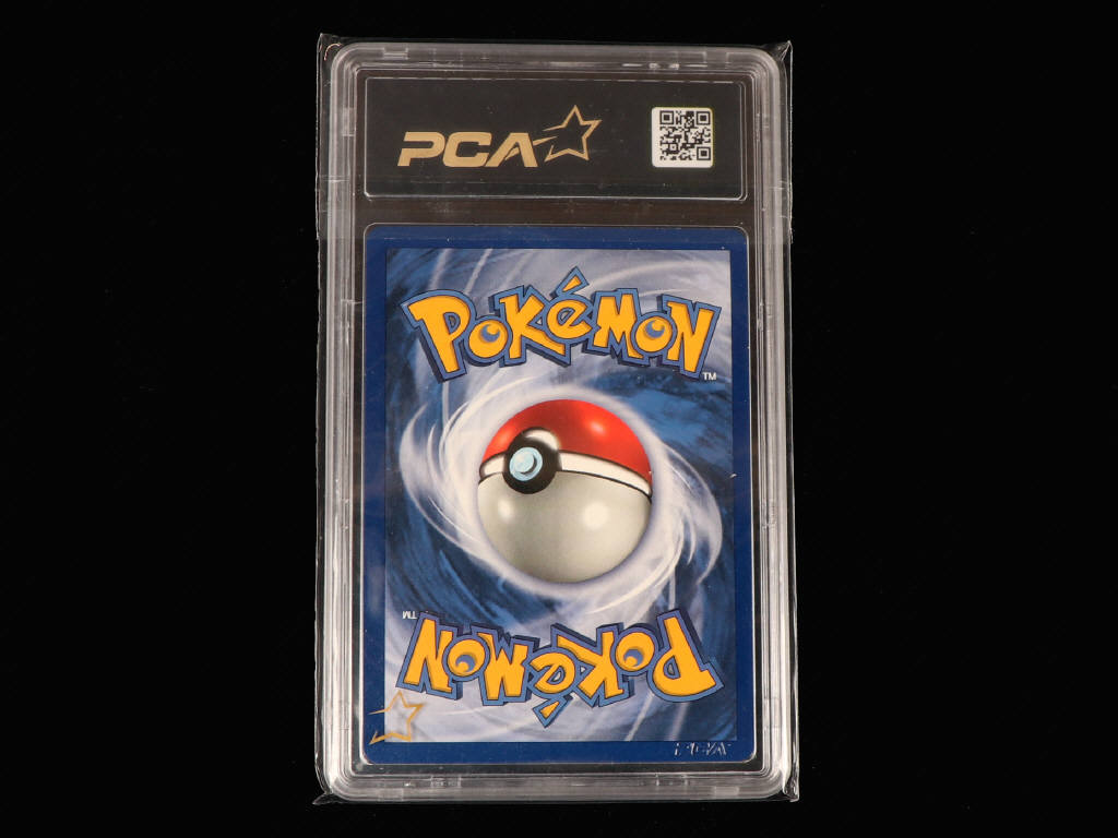 Lot 17 - POKEMON COMPANY (USA) (1)