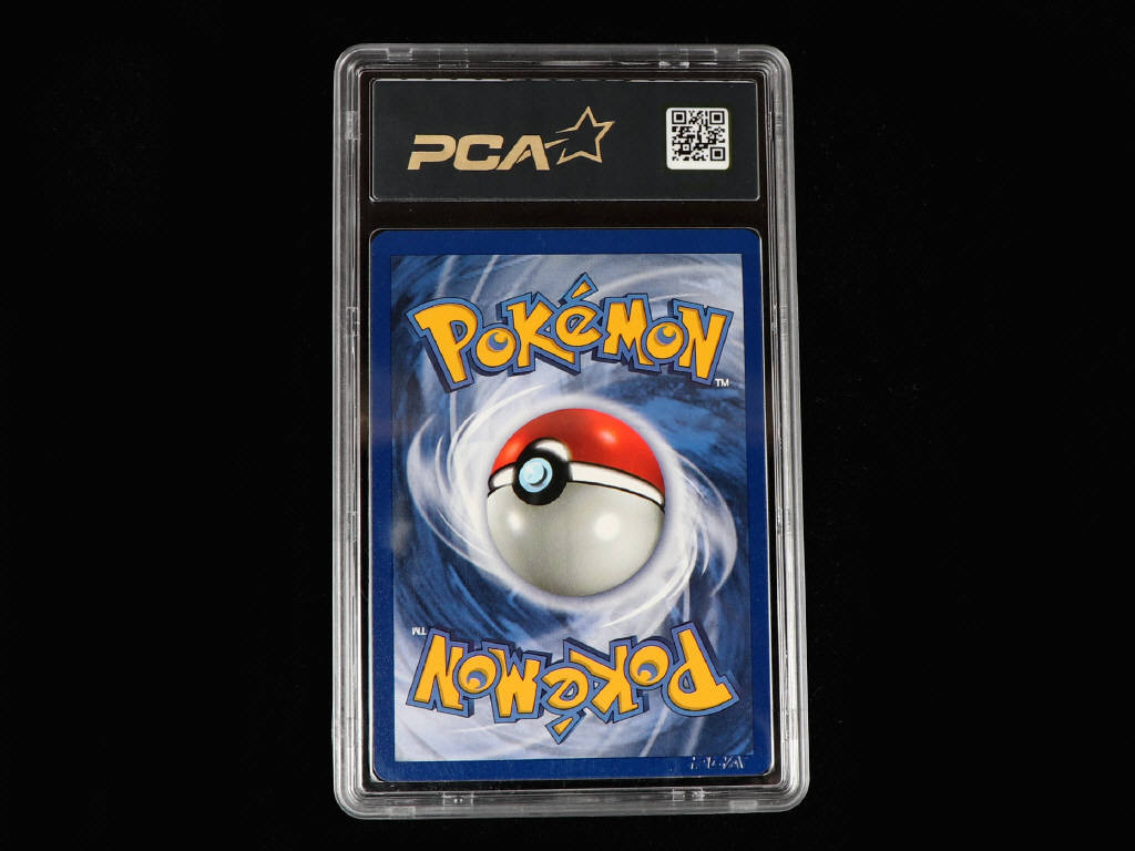Lot 41 - POKEMON COMPANY (USA) (1)