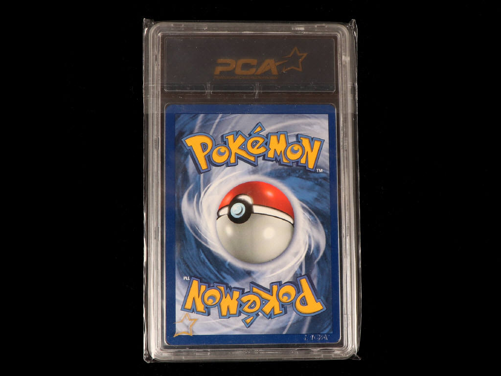 Lot 132 - POKEMON COMPANY (USA) (1)