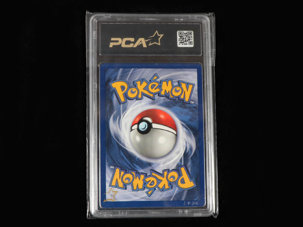 Lot 51 - POKEMON COMPANY (USA) (1)