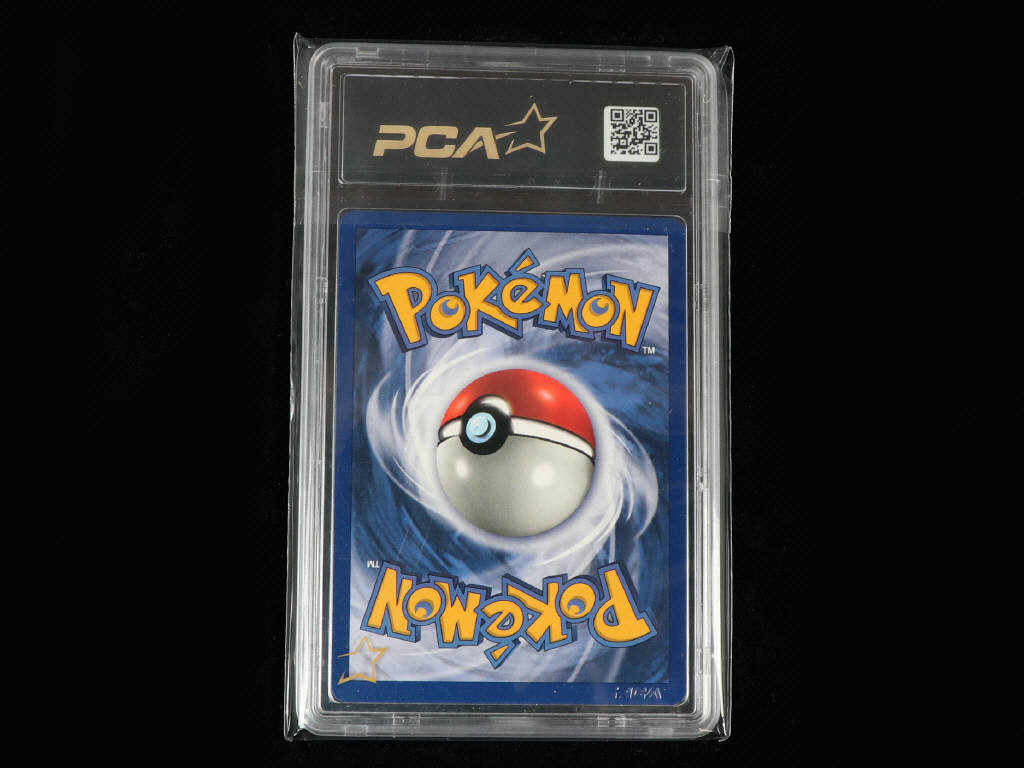 Lot 53 - POKEMON COMPANY (USA) (1)