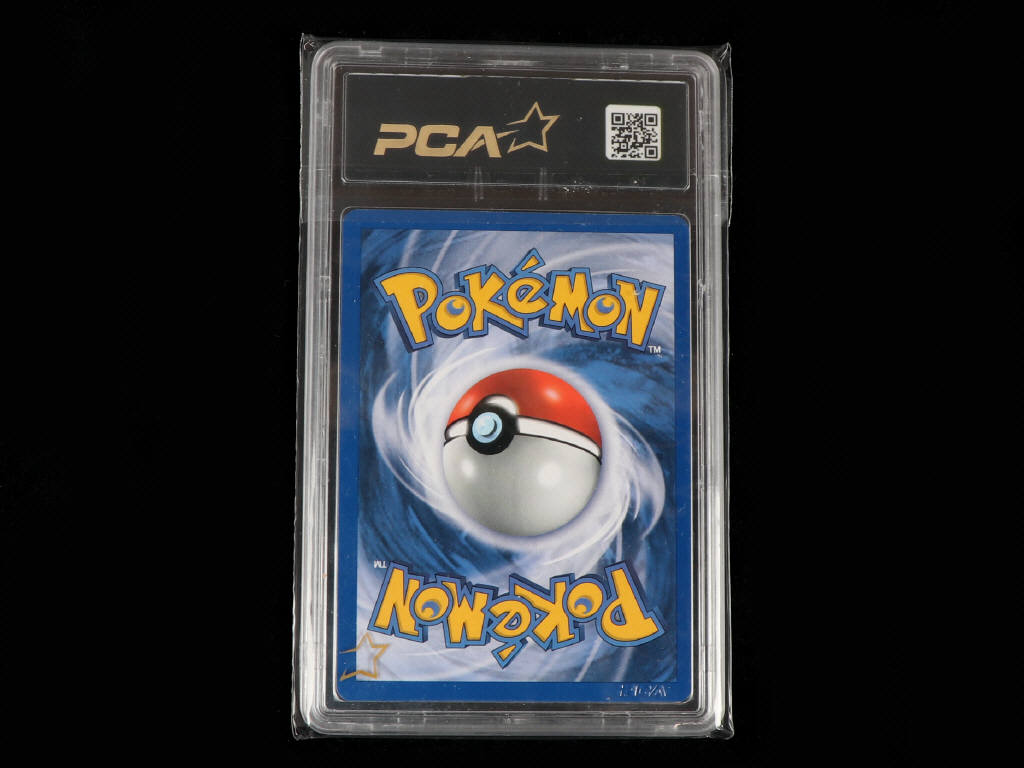 Lot 66 - POKEMON COMPANY (USA) (1)