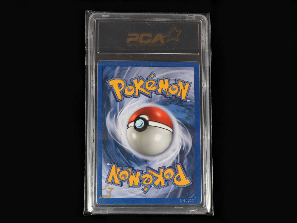 Lot 90 - POKEMON COMPANY (USA) (1)