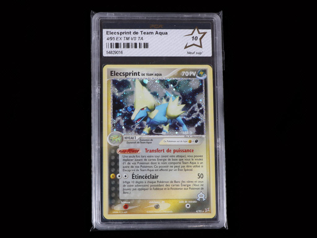 Lot 84 - POKEMON COMPANY (USA) (1)