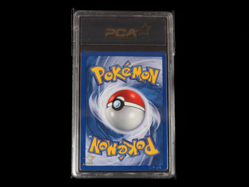 Lot 29 - POKEMON COMPANY (USA) (1)