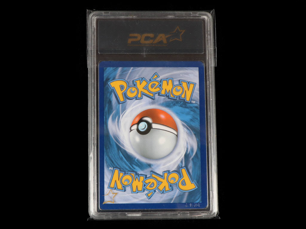 Lot 3 - POKEMON COMPANY (USA) (1)