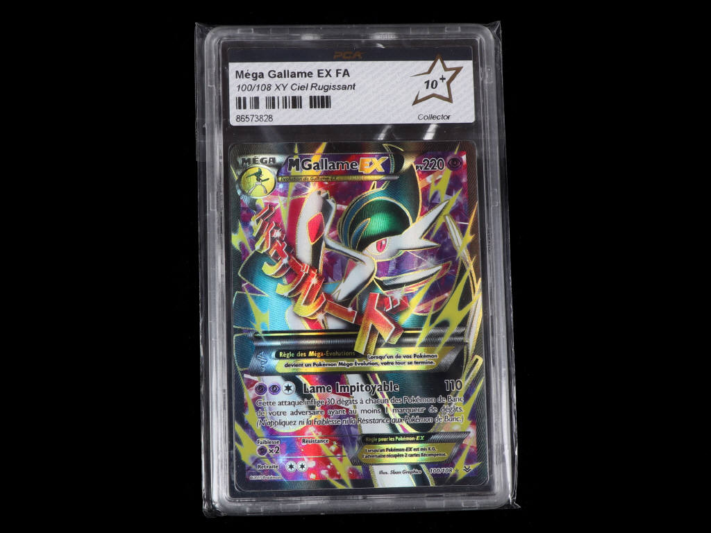 Lot 107 - POKEMON COMPANY (USA) (1)