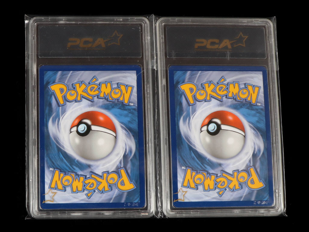 Lot 111 - POKEMON COMPANY (USA) (2)
