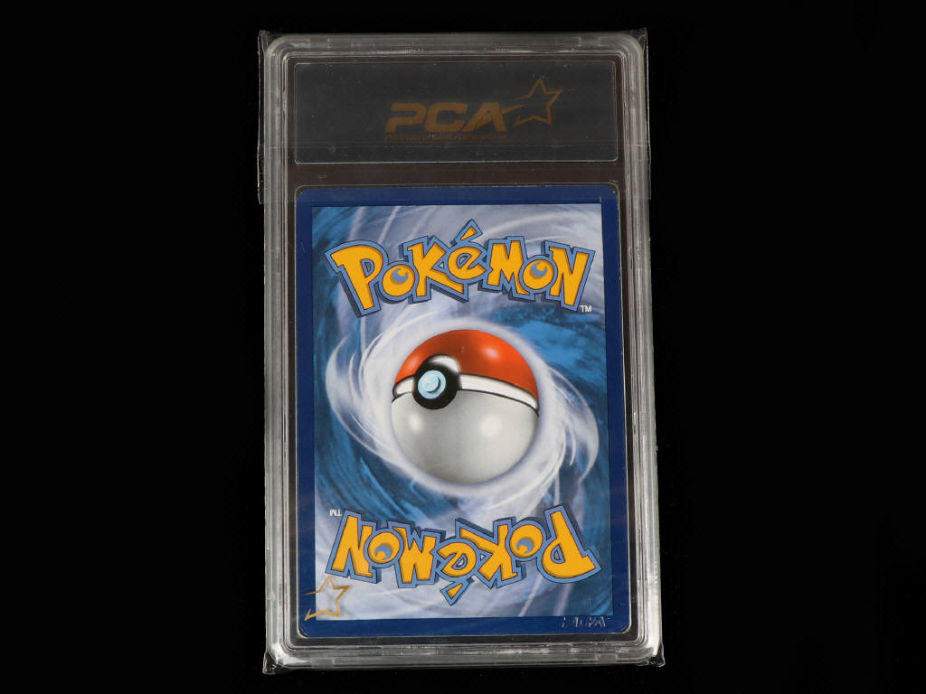 Lot 47 - POKEMON COMPANY (USA) (1)