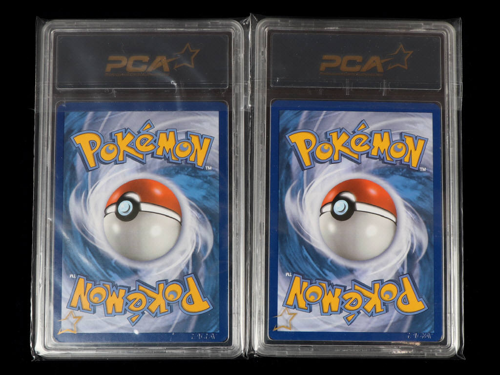 Lot 50 - POKEMON COMPANY (USA) (2)