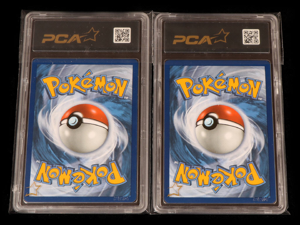 Lot 48 - POKEMON COMPANY (USA) (2)