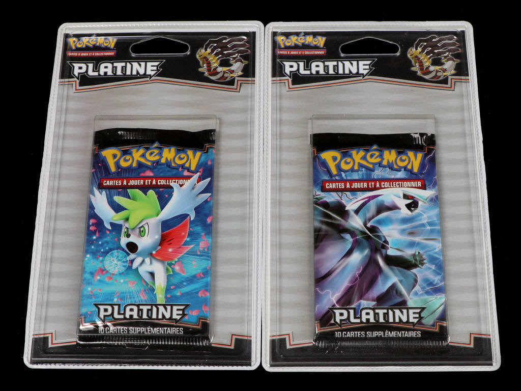 Lot 141 - POKEMON COMPANY (USA) (2)