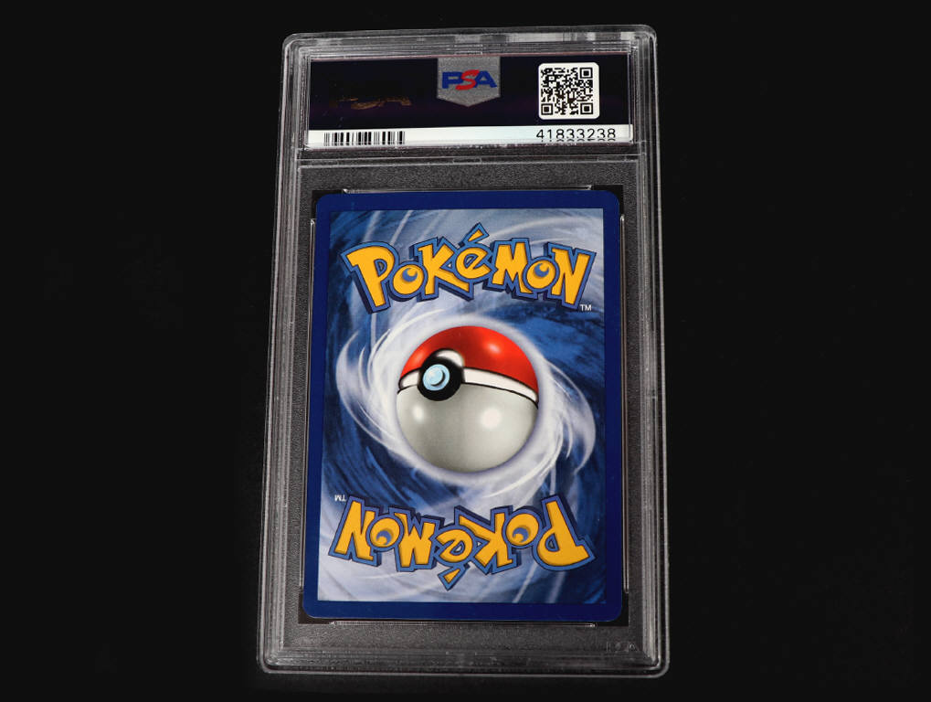 Lot 29 - POKEMON COMPANY (FRANCE) (1)