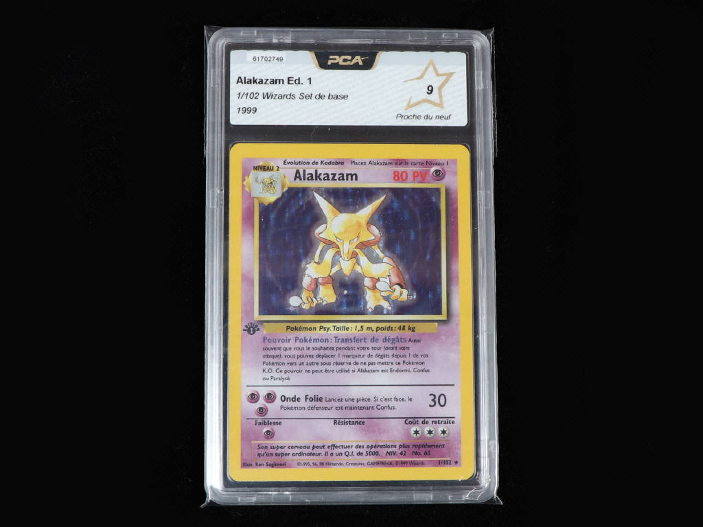 Lot 6 - POKEMON COMPANY (FRANCE) (1)