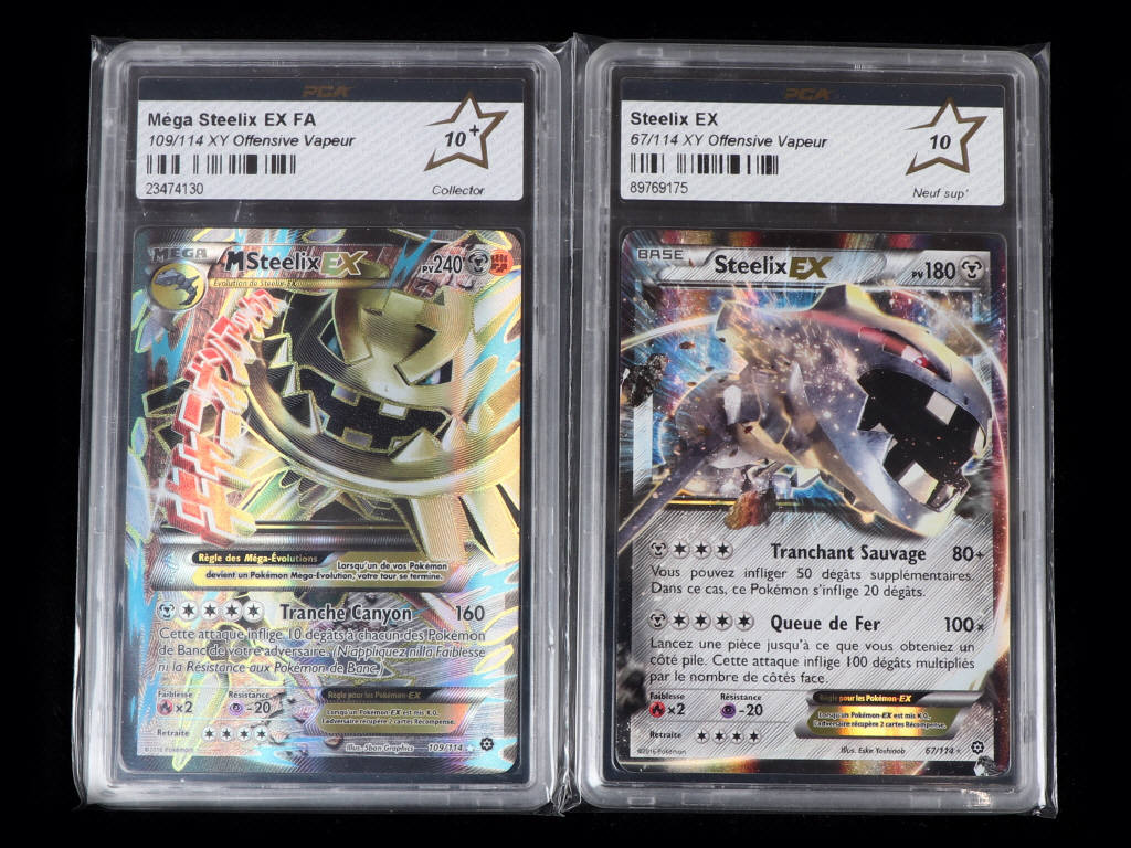 Lot 66 - POKEMON COMPANY (FRANCE) (2)
