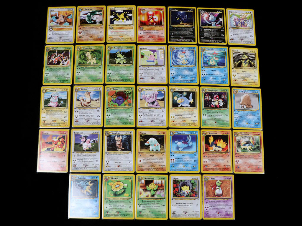 Lot 50 - POKEMON COMPANY (FRANCE) (111)