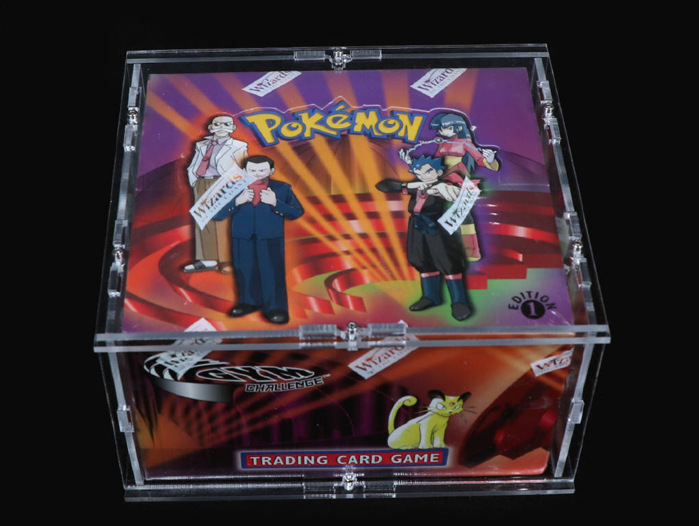 Lot 41 - POKEMON COMPANY (USA) (1)