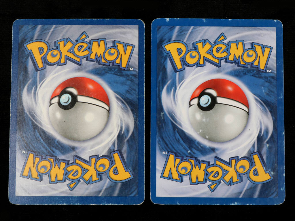 Lot 46 - POKEMON COMPANY (FRANCE) (2)