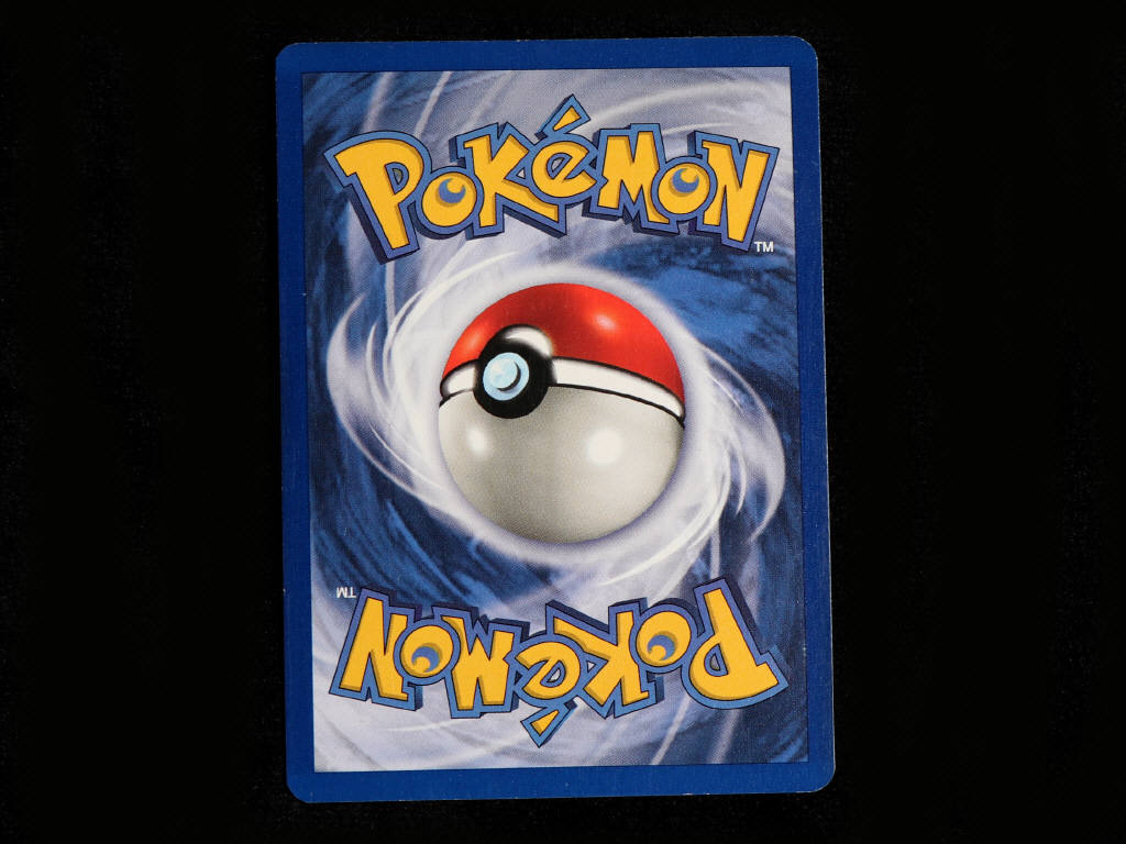Lot 151 - POKEMON COMPANY (USA) (1)