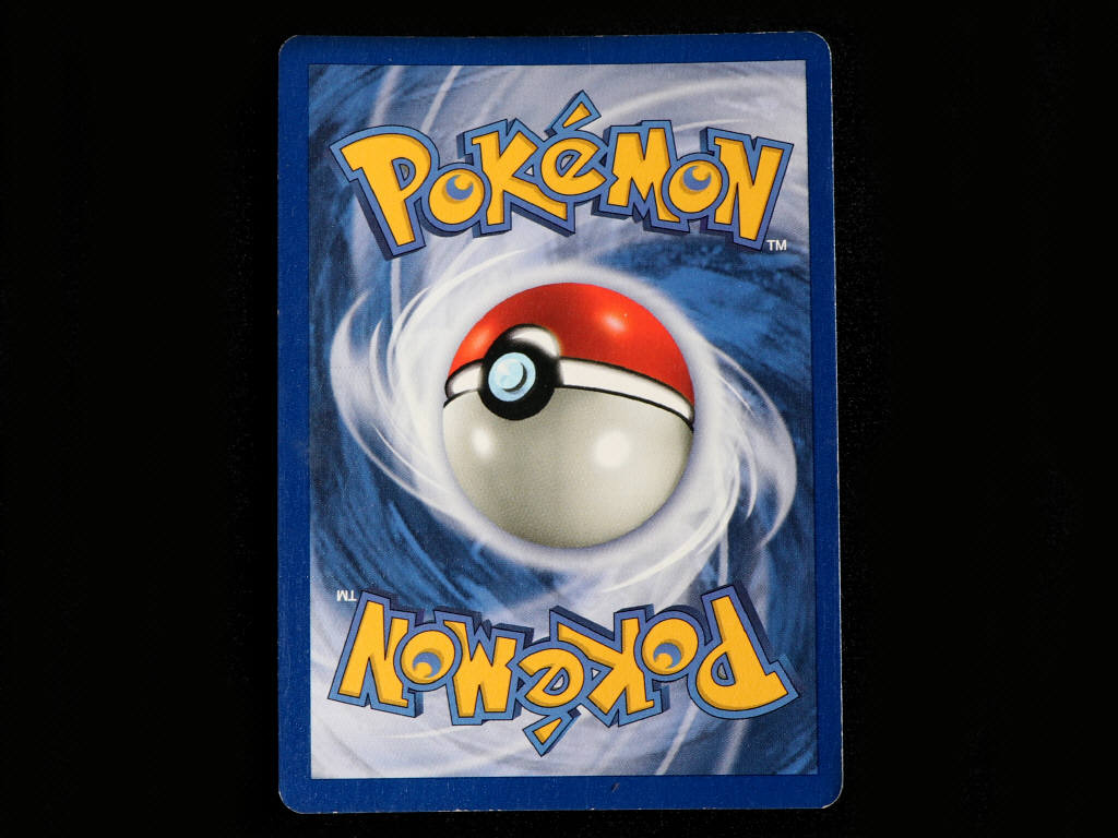 Lot 142 - POKEMON COMPANY (PORTUGAL) (1)