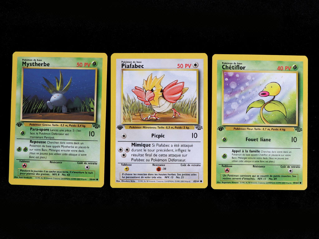 Lot 55 - POKEMON COMPANY (FRANCE) (3)