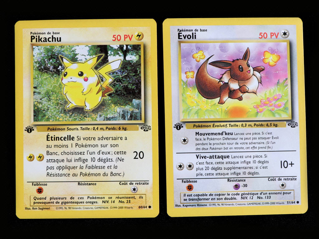 Lot 44 - POKEMON COMPANY (FRANCE) (2)