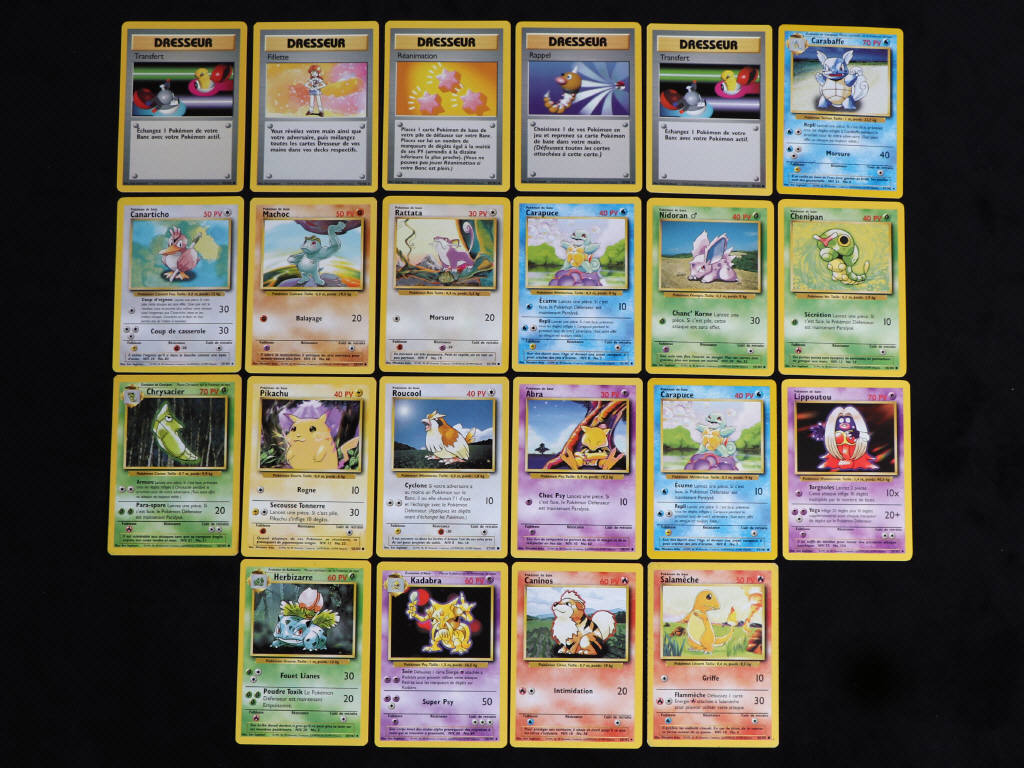 Lot 100 - POKEMON COMPANY (FRANCE) (22)