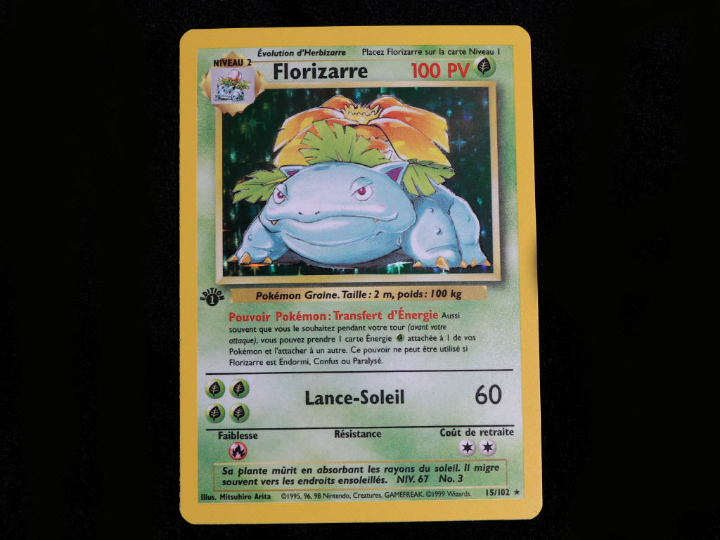 Lot 15 - POKEMON COMPANY (FRANCE) (1)