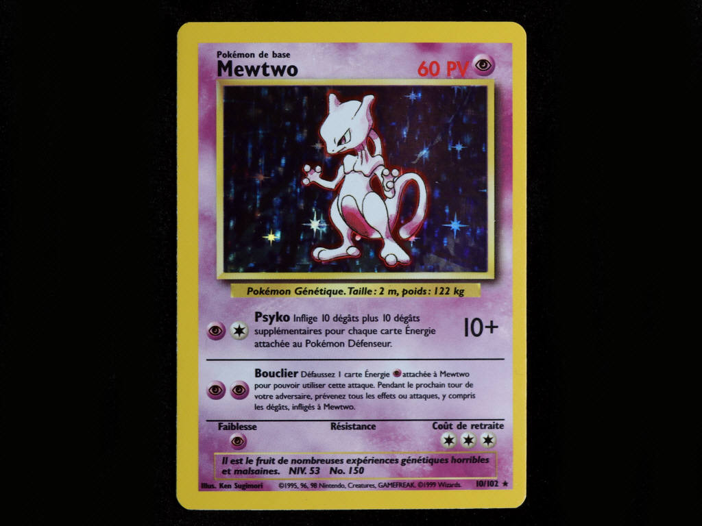 Lot 8 - POKEMON COMPANY (FRANCE) (1)