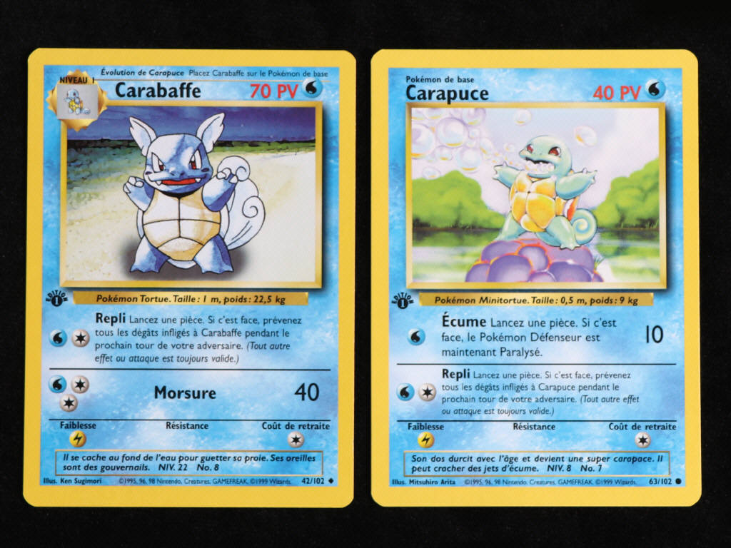 Lot 43 - POKEMON COMPANY (FRANCE) (2)