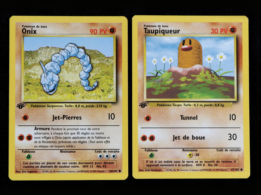 Lot 39 - POKEMON COMPANY (FRANCE) (2)