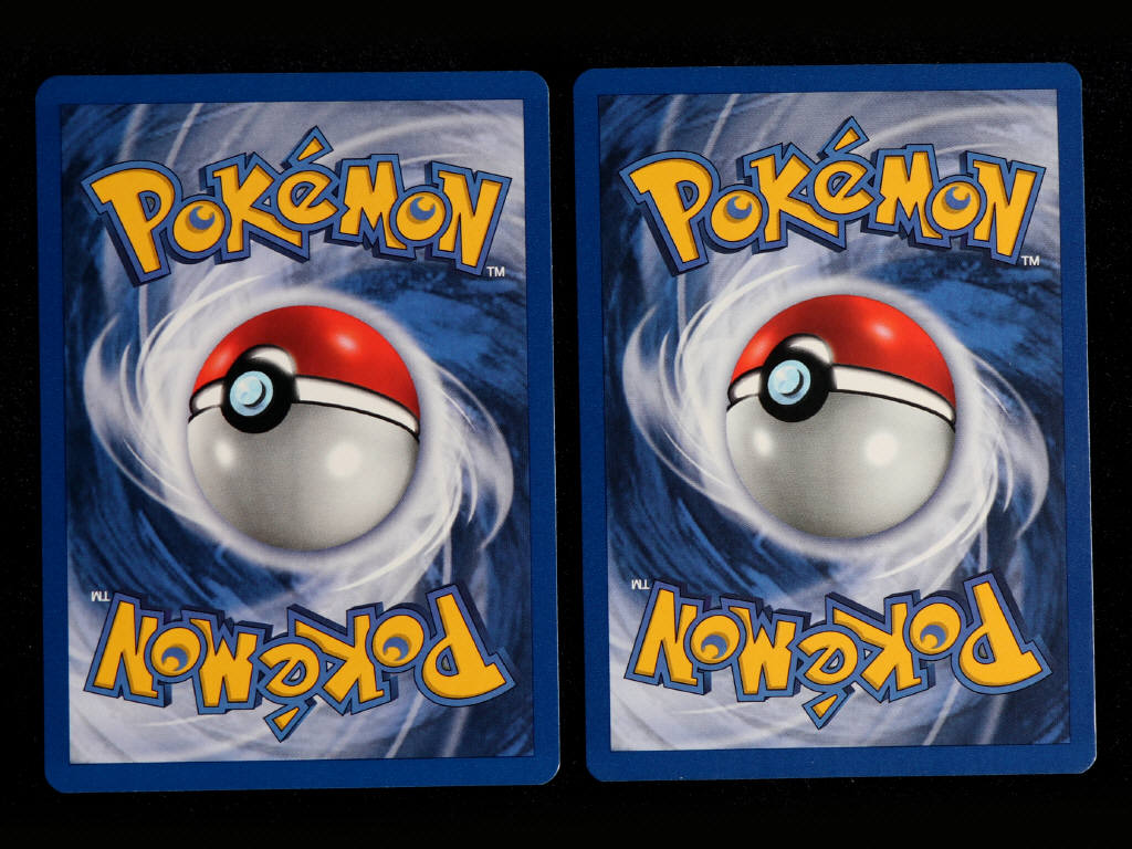 Lot 39 - POKEMON COMPANY (FRANCE) (2)