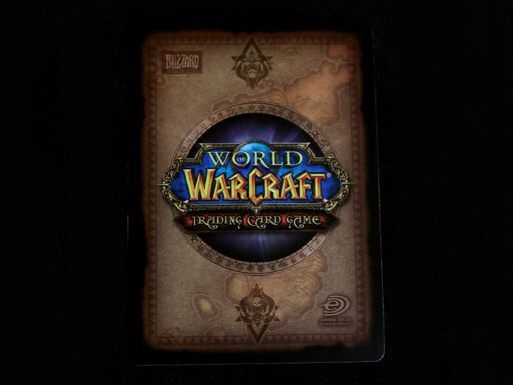 Lot 161 - WORLD OF WARCRAFT (FRANCE) (1)