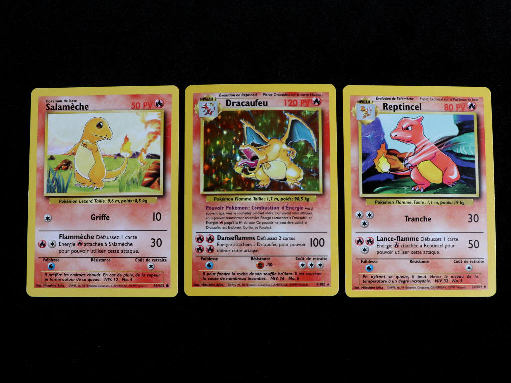 Lot 48 - POKEMON COMPANY (FRANCE) (3)