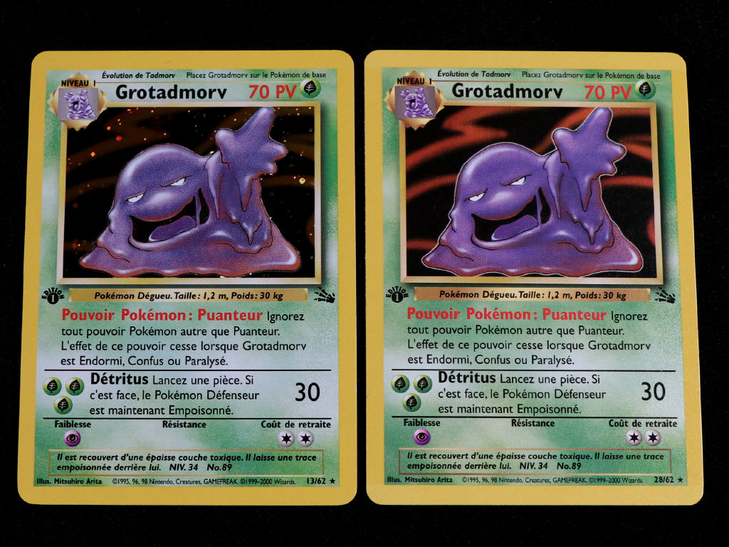 Lot 29 - POKEMON COMPANY (FRANCE) (2)
