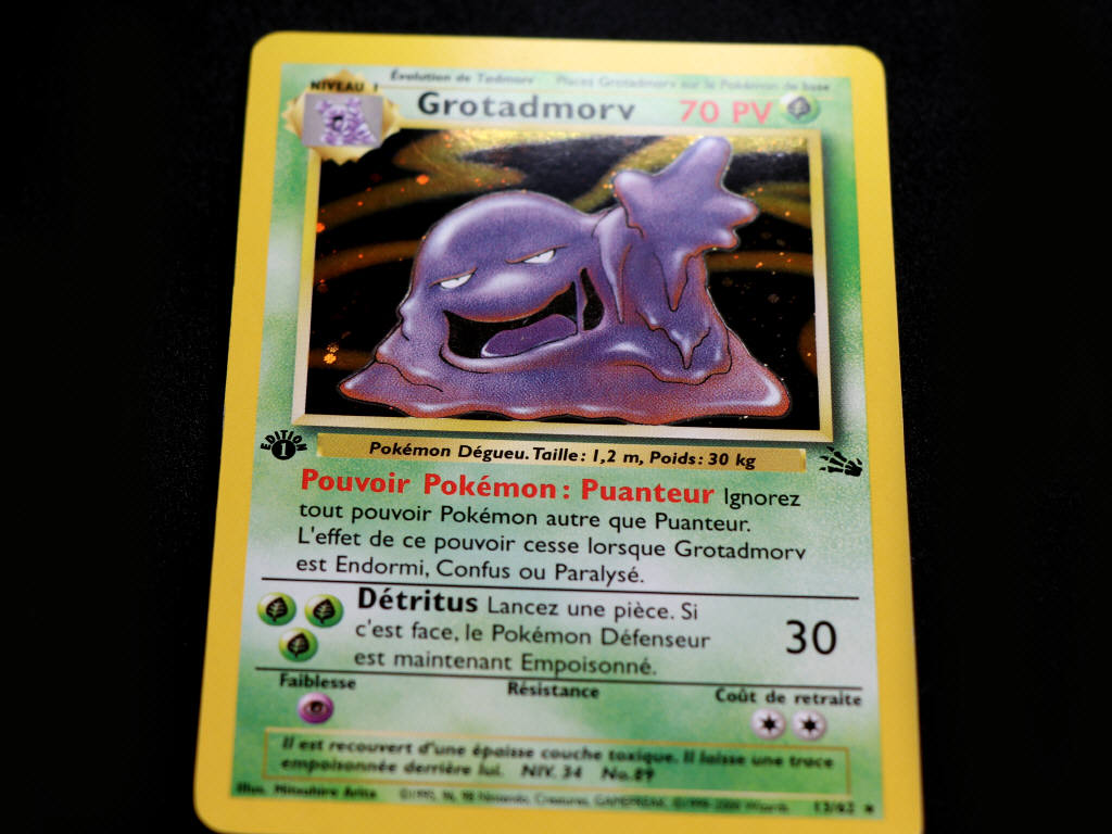 Lot 29 - POKEMON COMPANY (FRANCE) (2)