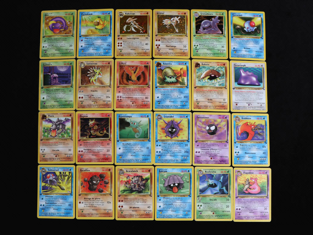 Lot 103 - POKEMON COMPANY (FRANCE) (24)