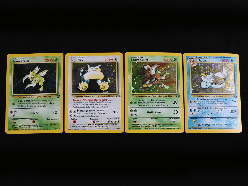 Lot 101 - POKEMON COMPANY (FRANCE) (22)