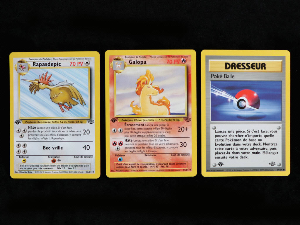 Lot 16 - POKEMON COMPANY (FRANCE) (3)