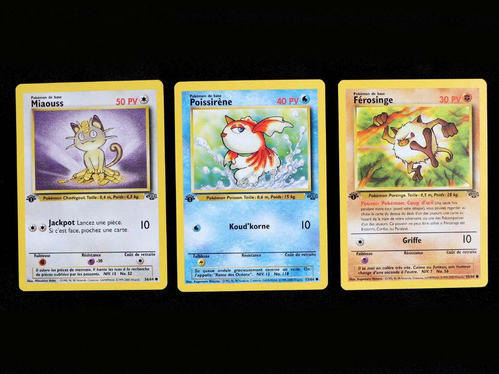 Lot 12 - POKEMON COMPANY (FRANCE) (3)