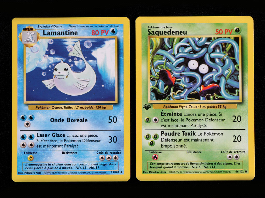 Lot 5 - POKEMON COMPANY (FRANCE) (2)