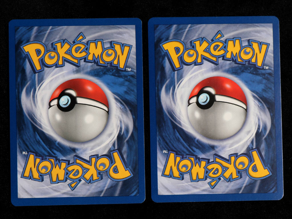 Lot 5 - POKEMON COMPANY (FRANCE) (2)