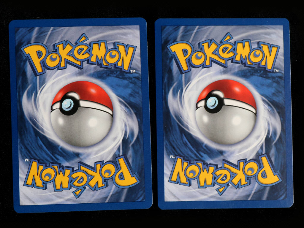 Lot 8 - POKEMON COMPANY (FRANCE) (2)
