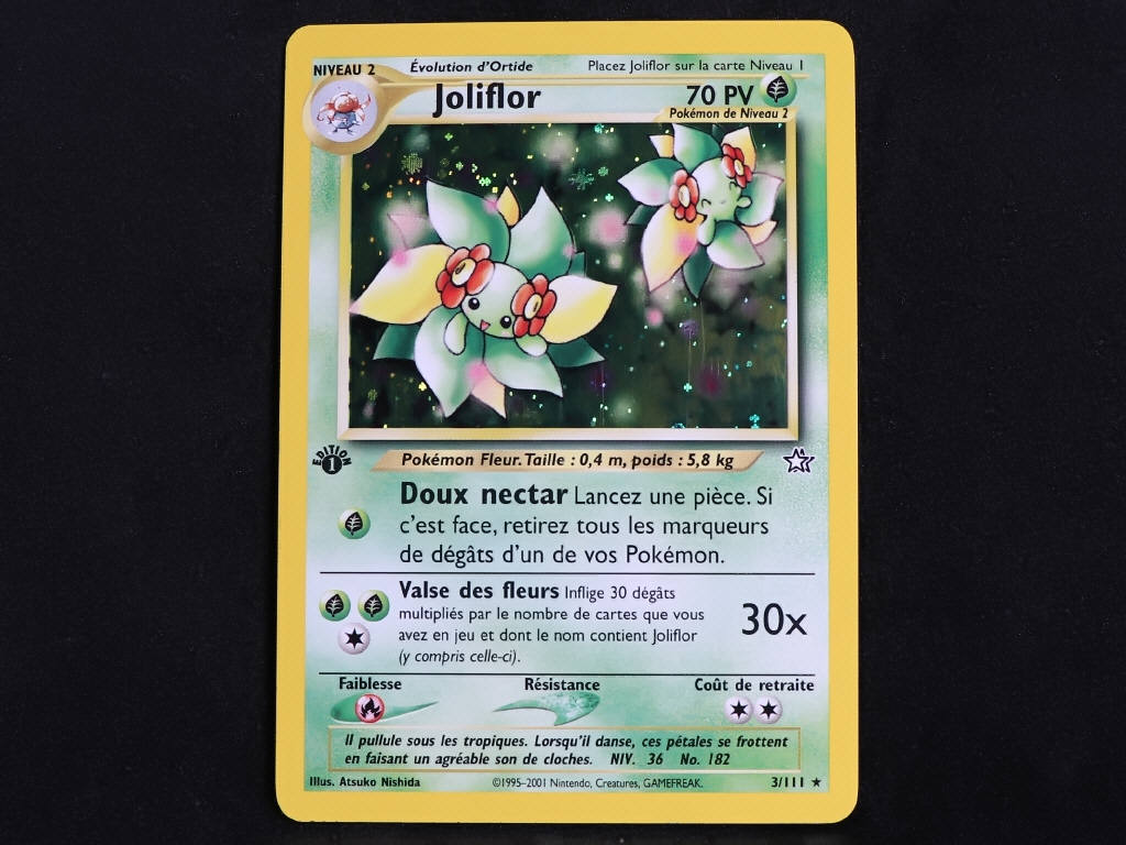 Lot 88 - POKEMON COMPANY (FRANCE) (1)