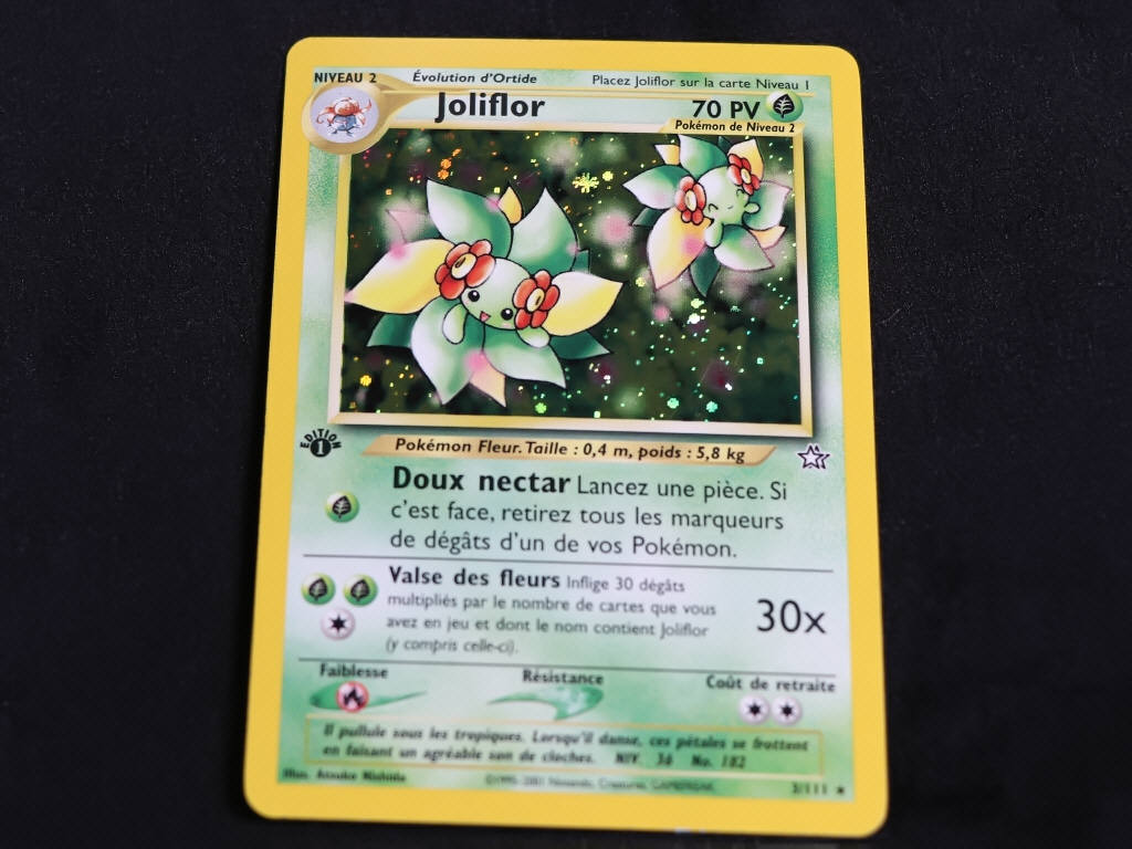 Lot 88 - POKEMON COMPANY (FRANCE) (1)