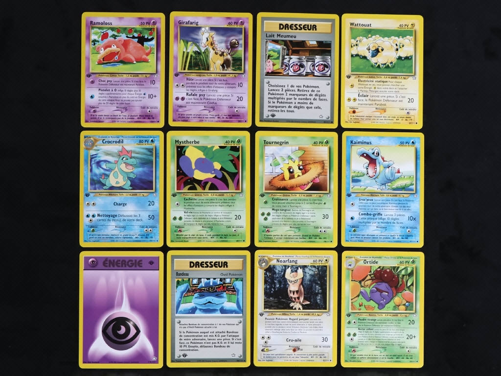 Lot 99 - POKEMON COMPANY (FRANCE) (12)