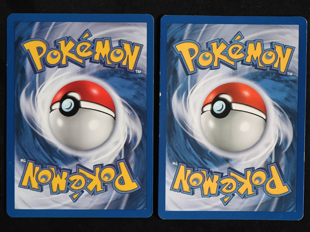 Lot 119 - POKEMON COMPANY (FRANCE) (2)